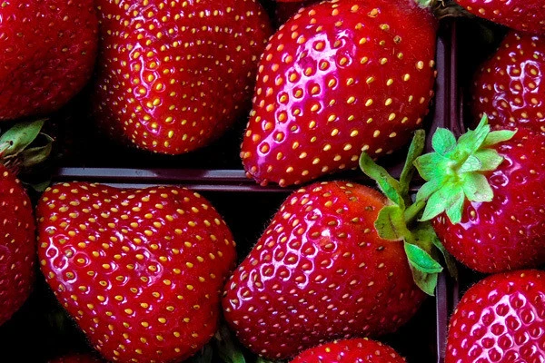 Erdbeeren