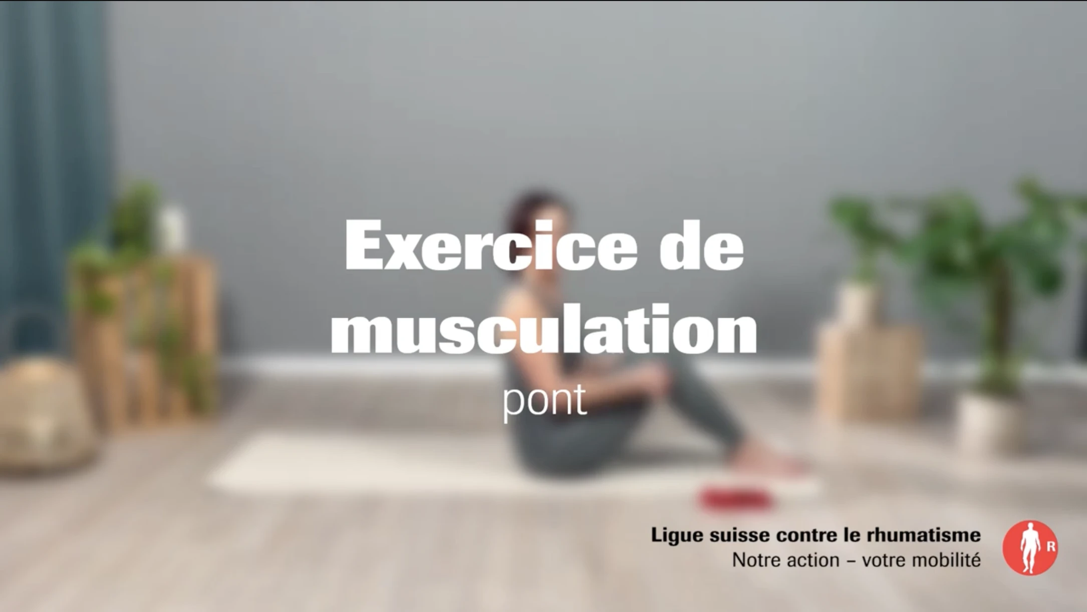 Exercice 3 : pont Exercice 3 : pont