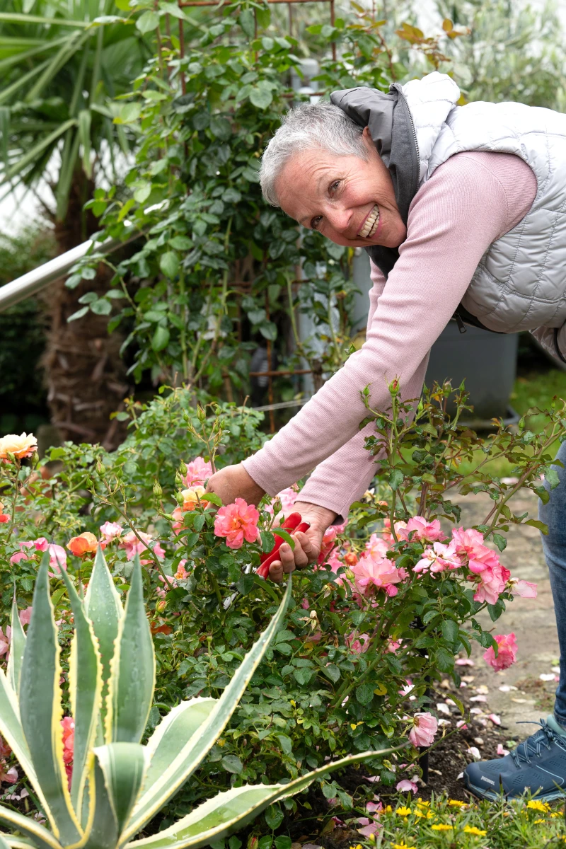 Jardinage Jardinage