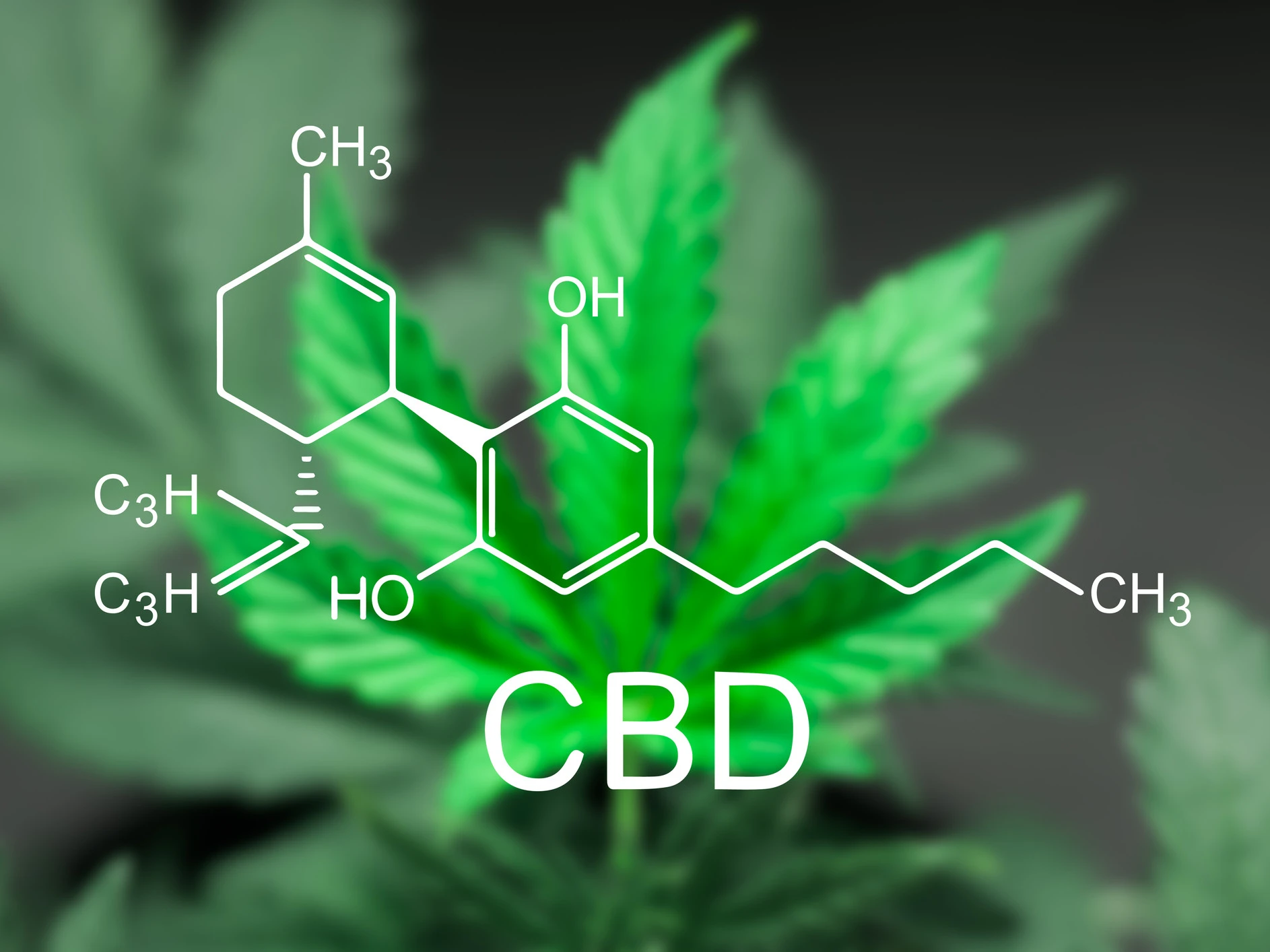 CBD bei Rheuma CBD bei Rheuma
