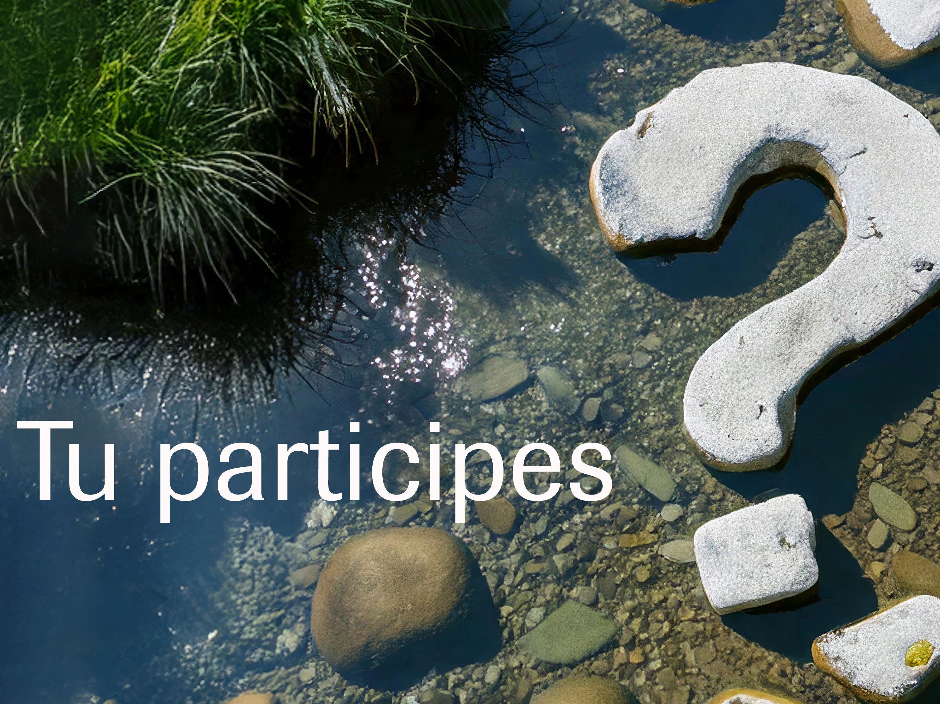 Tu participes Tu participes